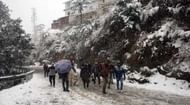 The snow levels in Manali have been decreasing over the years.